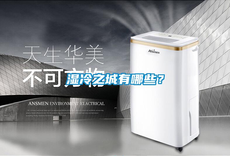 湿冷之城有哪些？