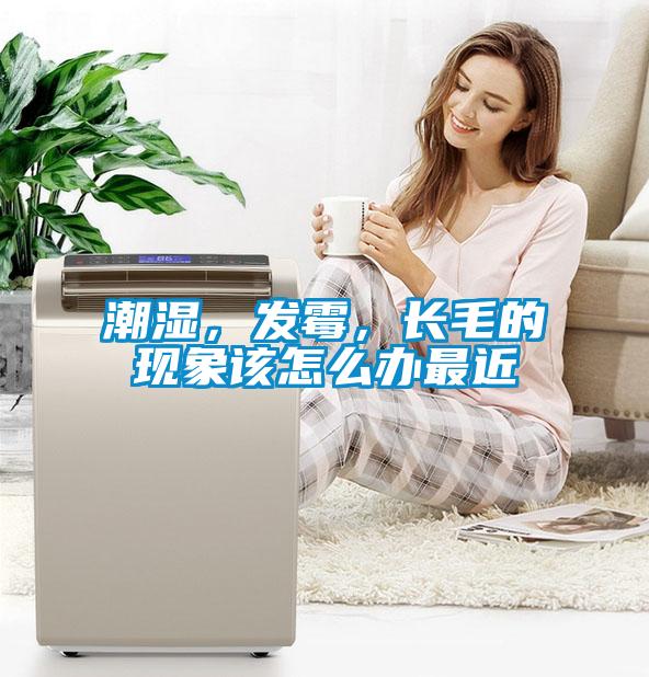 潮湿，发霉，长毛的现象该怎么办最近