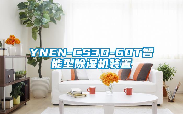 YNEN-CS3D-60T智能型草莓视频APP在线观看装置