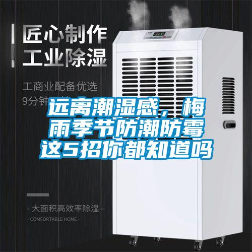 远离潮湿感，梅雨季节防潮防霉这5招你都知道吗
