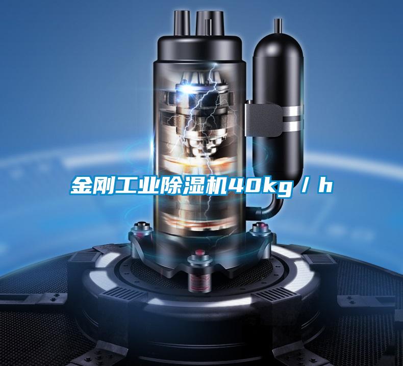 金刚工业草莓视频APP在线观看40kg／h