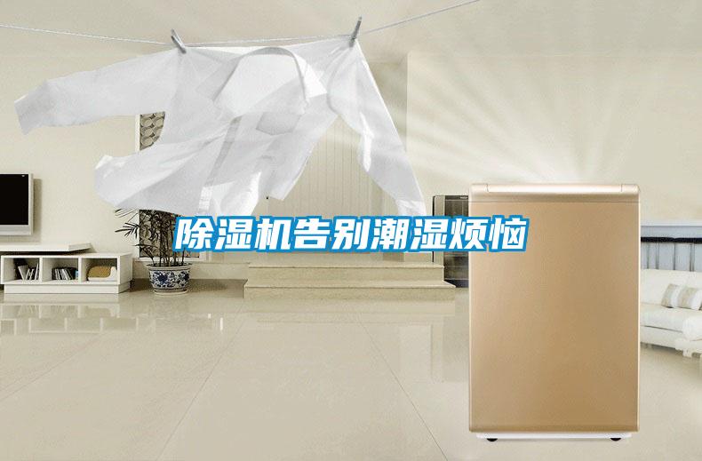 草莓视频APP在线观看告别潮湿烦恼