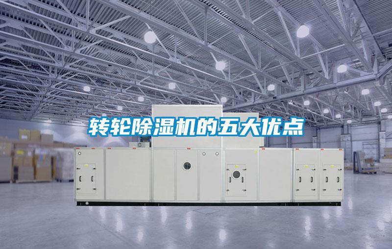 转轮草莓视频APP在线观看的五大优点