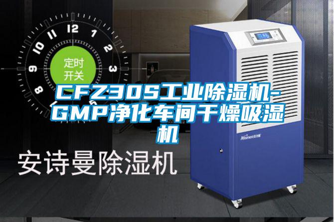 CFZ30S工业草莓视频APP在线观看-GMP净化车间干燥吸湿机