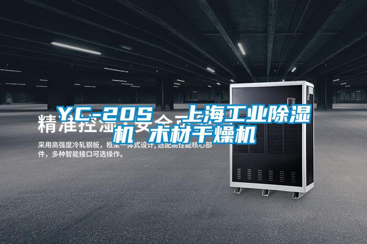 YC-20S  上海工业草莓视频APP在线观看 木材干燥机