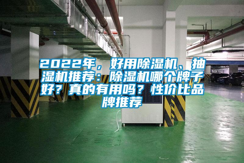 2022年，好用草莓视频APP在线观看、抽湿机推荐：草莓视频APP在线观看哪个牌子好？真的有用吗？性价比品牌推荐