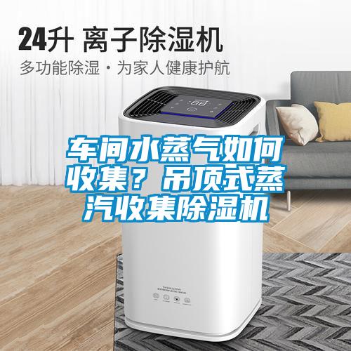 车间水蒸气如何收集？吊顶式蒸汽收集草莓视频APP在线观看