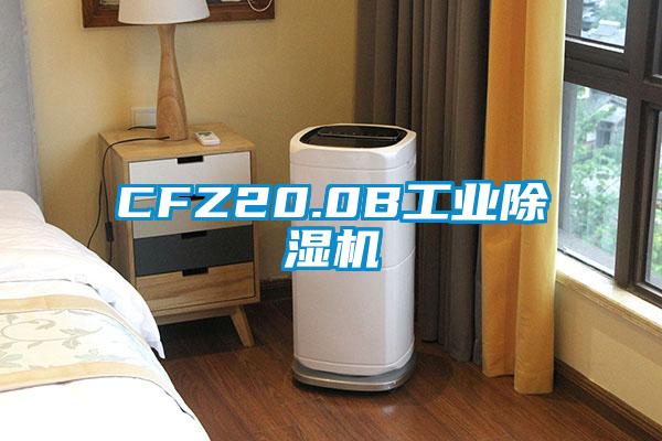 CFZ20.0B工业草莓视频APP在线观看