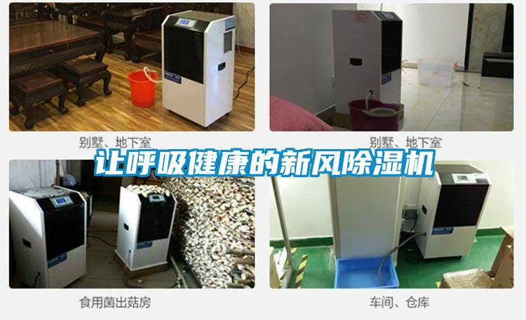 让呼吸健康的新风草莓视频APP在线观看