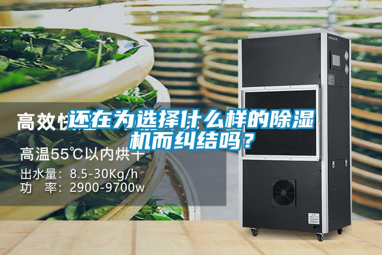 还在为选择什么样的草莓视频APP在线观看而纠结吗？