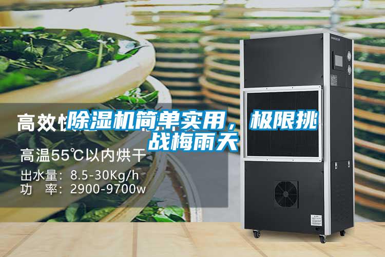 草莓视频APP在线观看简单实用，极限挑战梅雨天