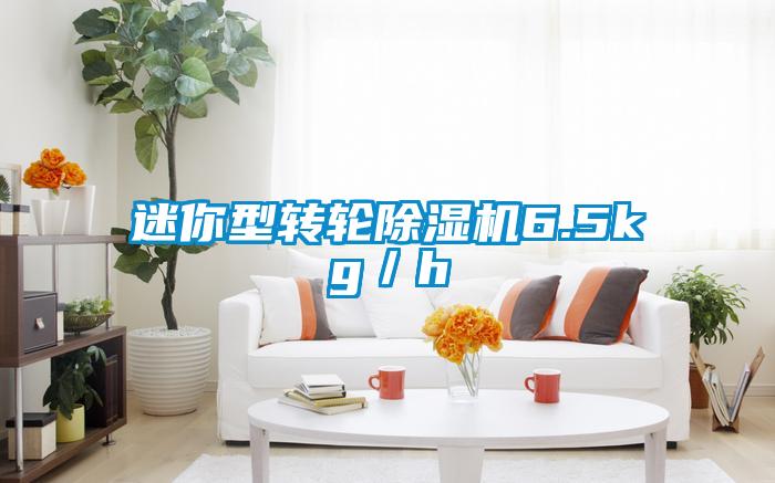 迷你型转轮草莓视频APP在线观看6.5kg／h