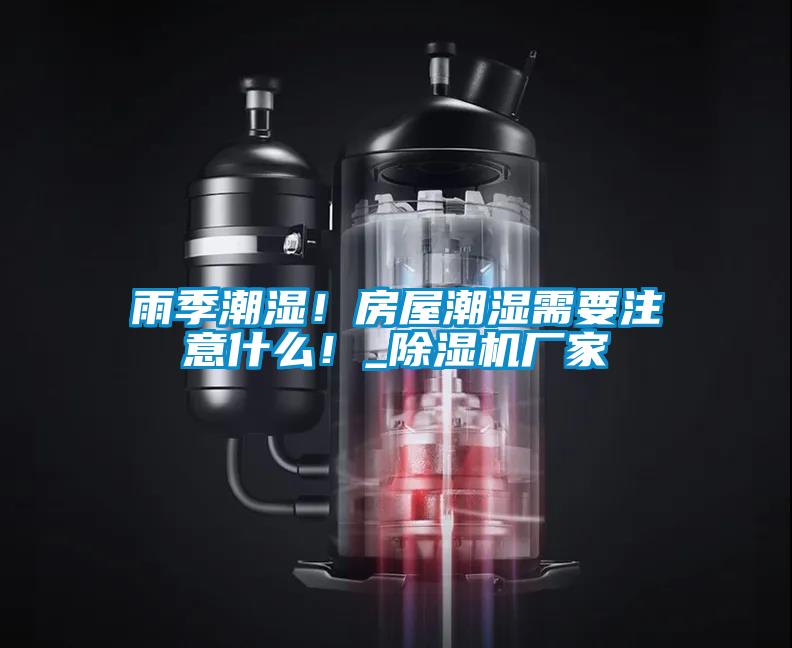 雨季潮湿！房屋潮湿需要注意什么！_草莓视频APP在线观看厂家
