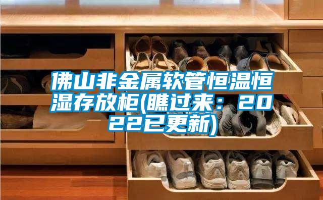 佛山非金属软管恒温恒湿存放柜(瞧过来：2022已更新)