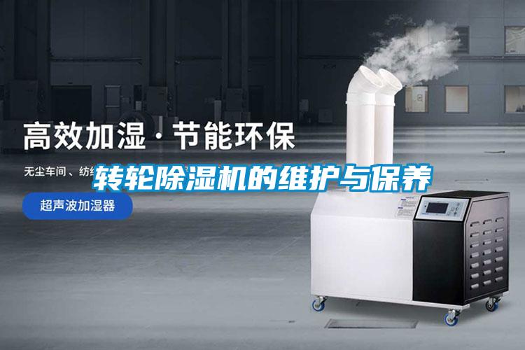 转轮草莓视频APP在线观看的维护与保养