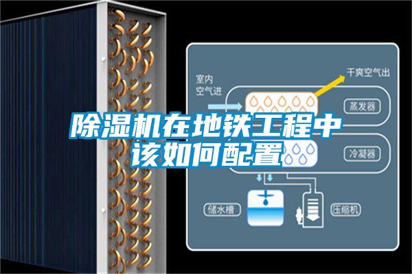 草莓视频APP在线观看在地铁工程中该如何配置
