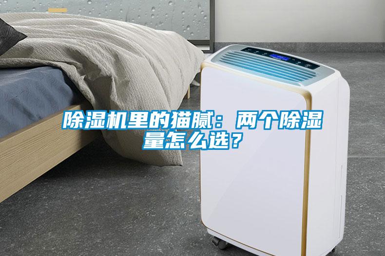 草莓视频APP在线观看里的猫腻：两个除湿量怎么选？