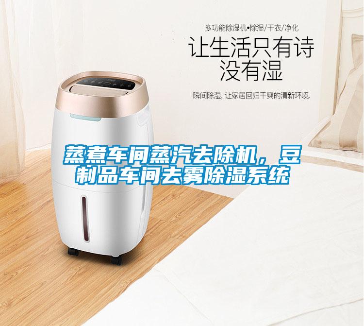 蒸煮车间蒸汽去除机，豆制品车间去雾除湿系统