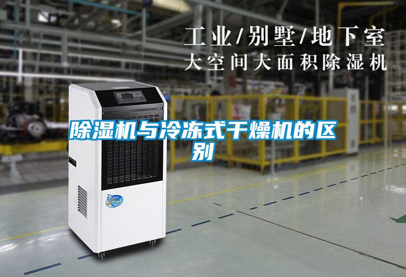 草莓视频APP在线观看与冷冻式干燥机的区别
