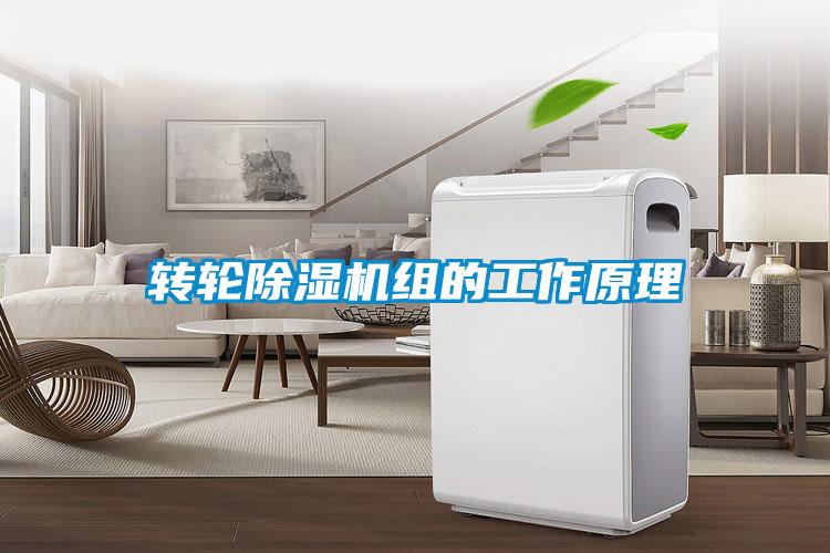 转轮草莓视频APP在线观看组的工作原理