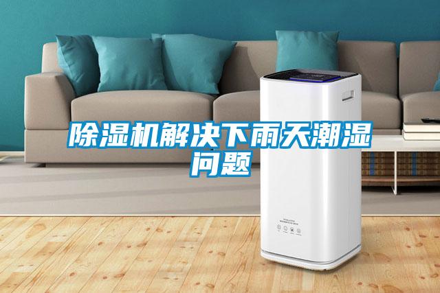 草莓视频APP在线观看解决下雨天潮湿问题
