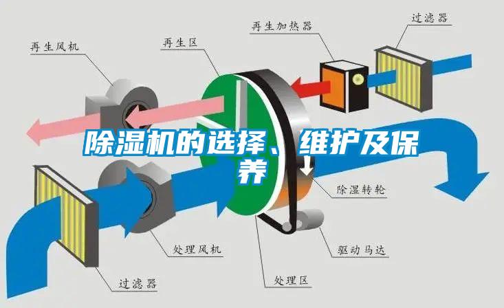草莓视频APP在线观看的选择、维护及保养