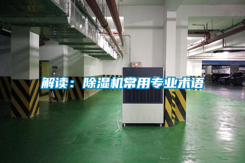 解读：草莓视频APP在线观看常用专业术语