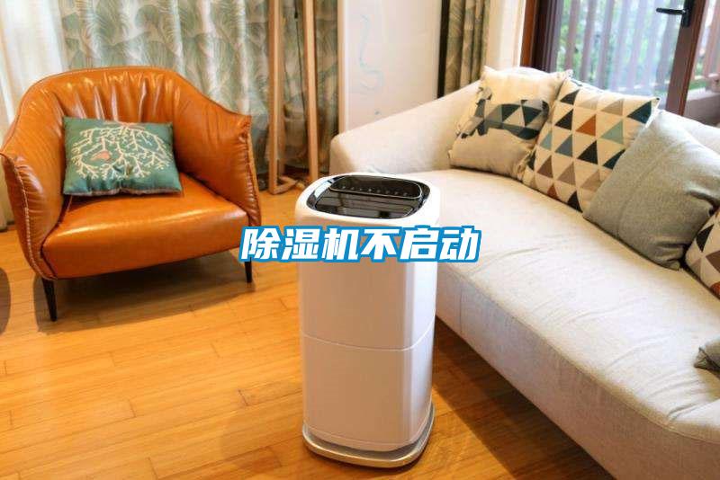 草莓视频APP在线观看不启动