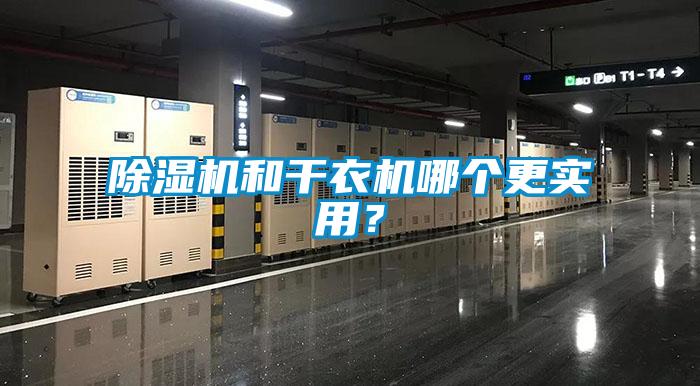 草莓视频APP在线观看和干衣机哪个更实用？