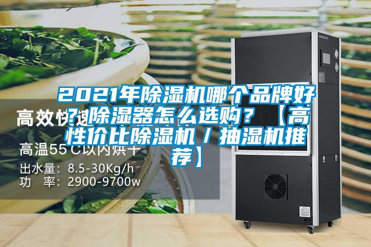 2021年草莓视频APP在线观看哪个品牌好？除湿器怎么选购？【高性价比草莓视频APP在线观看／抽湿机推荐】