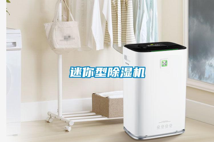 迷你型草莓视频APP在线观看