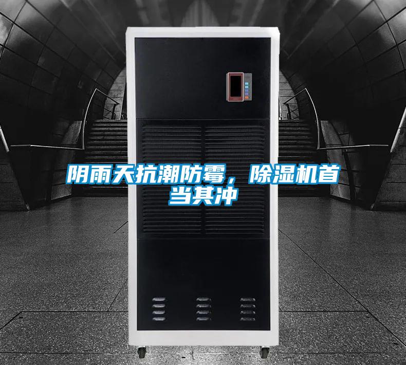 阴雨天抗潮防霉，草莓视频APP在线观看首当其冲