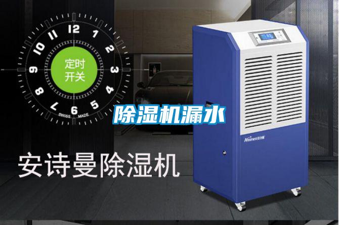 草莓视频APP在线观看漏水