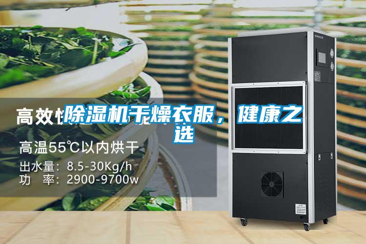草莓视频APP在线观看干燥衣服，健康之选