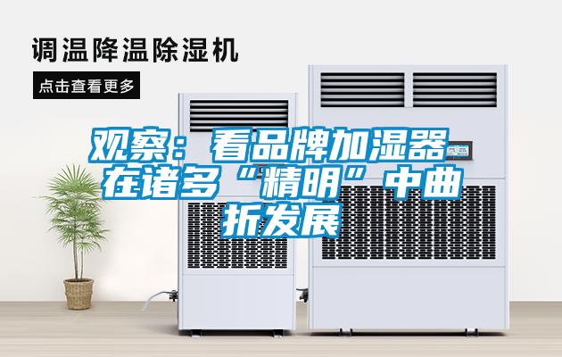 观察：看品牌加湿器 在诸多“精明”中曲折发展