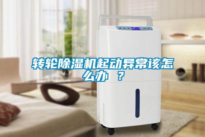 转轮草莓视频APP在线观看起动异常该怎么办 ？