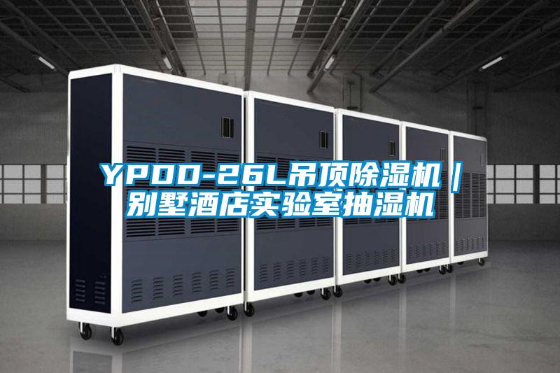 YPDD-26L吊顶草莓视频APP在线观看｜别墅酒店实验室抽湿机