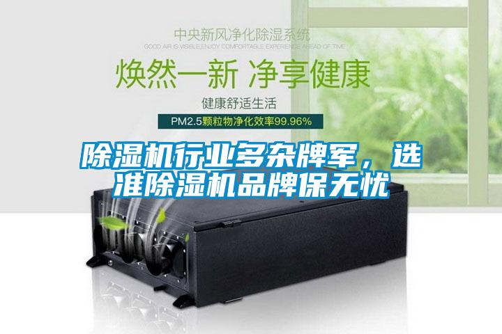 草莓视频APP在线观看行业多杂牌军，选准草莓视频APP在线观看品牌保无忧