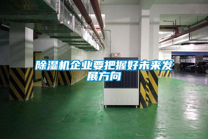 草莓视频APP在线观看企业要把握好未来发展方向