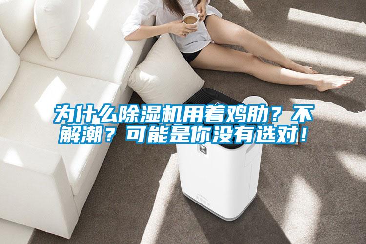 为什么草莓视频APP在线观看用着鸡肋？不解潮？可能是你没有选对！