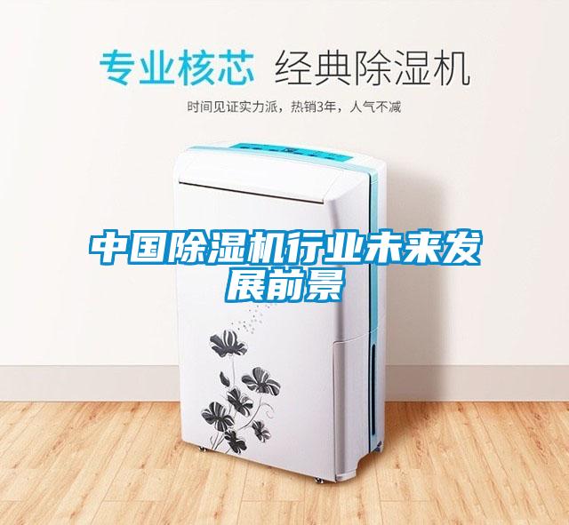 中国草莓视频APP在线观看行业未来发展前景