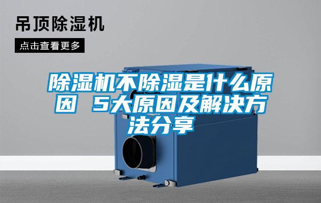 草莓视频APP在线观看不除湿是什么原因 5大原因及解决方法分享