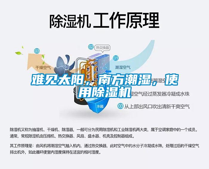 难见太阳，南方潮湿，使用草莓视频APP在线观看