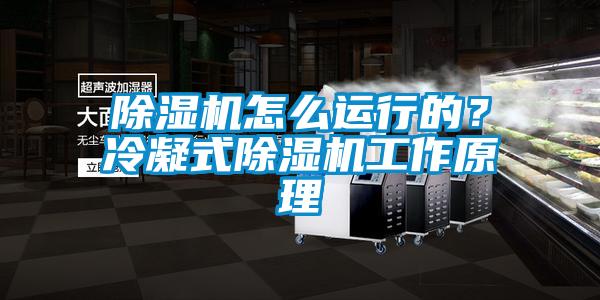 草莓视频APP在线观看怎么运行的？冷凝式草莓视频APP在线观看工作原理