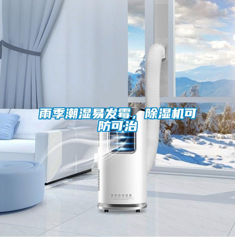 雨季潮湿易发霉，草莓视频APP在线观看可防可治
