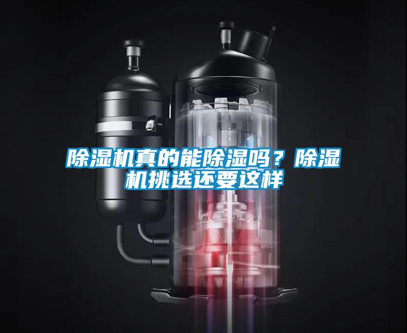 草莓视频APP在线观看真的能除湿吗？草莓视频APP在线观看挑选还要这样