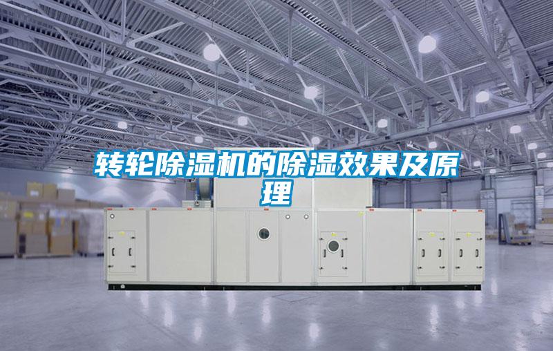 转轮草莓视频APP在线观看的除湿效果及原理