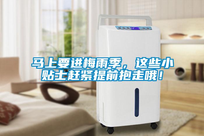 马上要进梅雨季，这些小贴士赶紧提前抱走哦！
