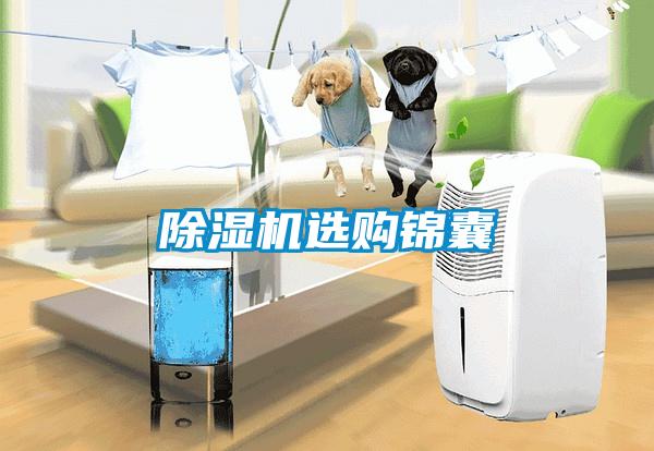 草莓视频APP在线观看选购锦囊