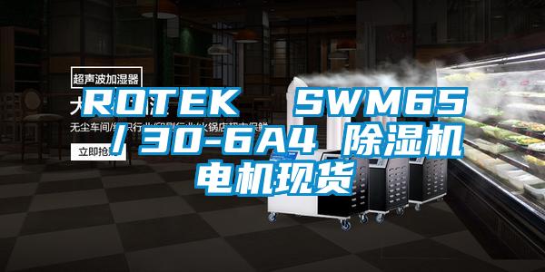 ROTEK  SWM65／30-6A4 草莓视频APP在线观看电机现货